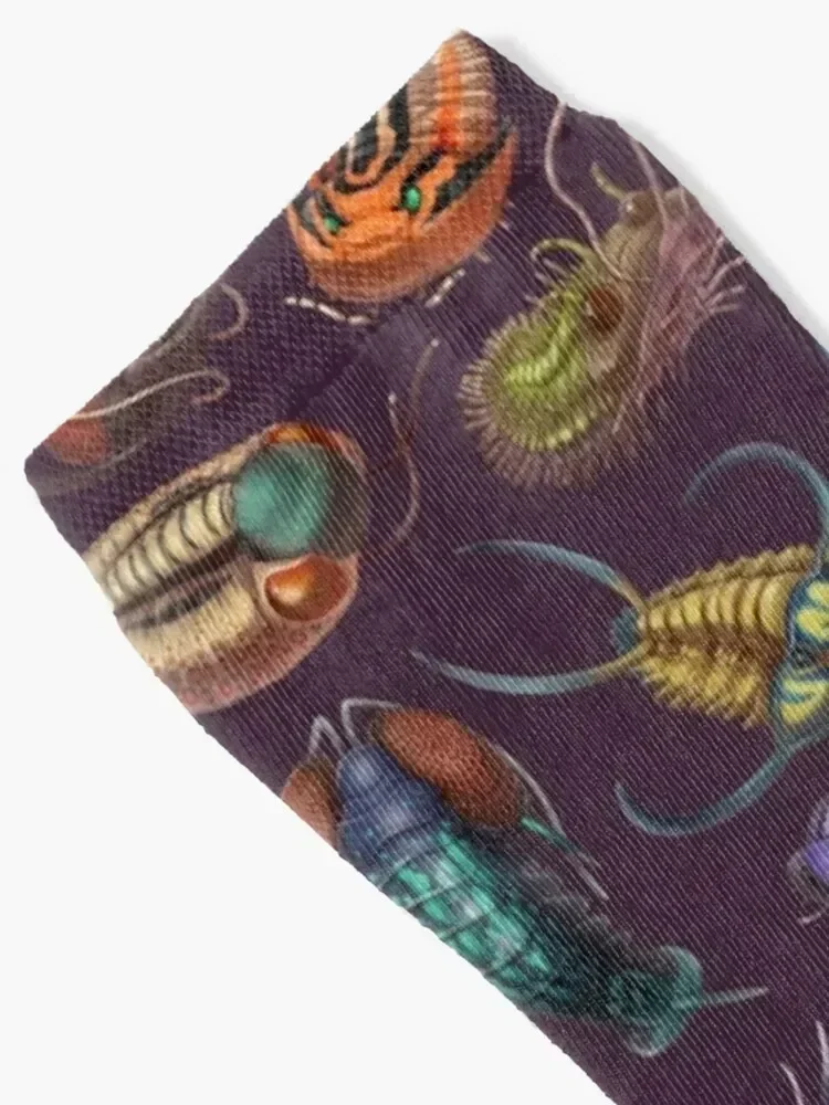 Trilobites Socks Hiking boots halloween christmas gifts Socks Woman Men's