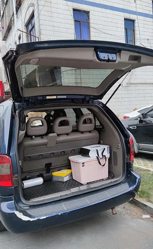 Imagen 2 del producto Amortiguador para Dodge Grand Caravan Chrysler Town & Country Voyager IV Van 2000-2008 puerta trasera maletero puntales de resorte de Gas soporte de elevación