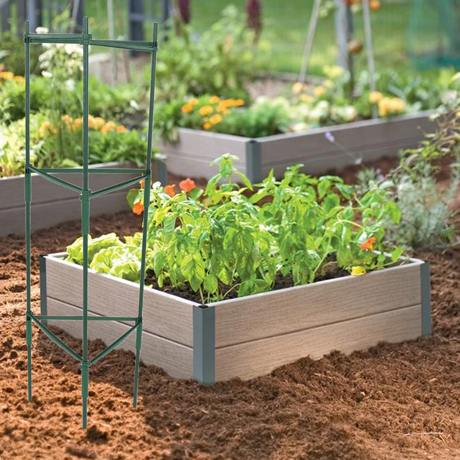 

Tomato Climbing Frame Outdoor Plant Support Vegetable Garden Stakes Cages Planter Cucumber Trellis