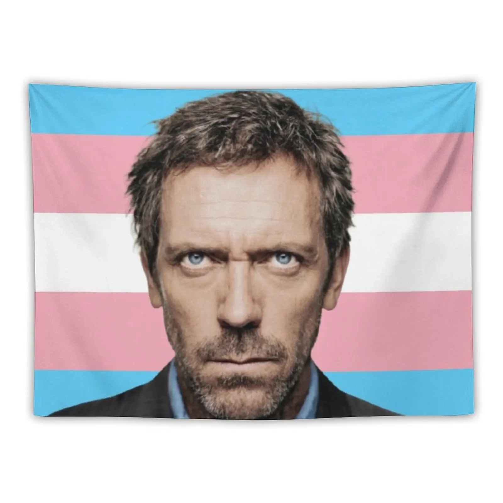 

dr gregory house trans pride Tapestry Aesthetics For Room Cute Room Decor Wall Hanging Wall Decorative Wall Tapestry