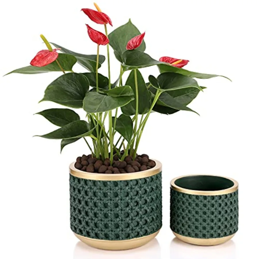 

6and4.4 Inch Cement Planter Decorative Pots with Drainage Hole for All House Plants, Succulents, Flowers, and Cactus