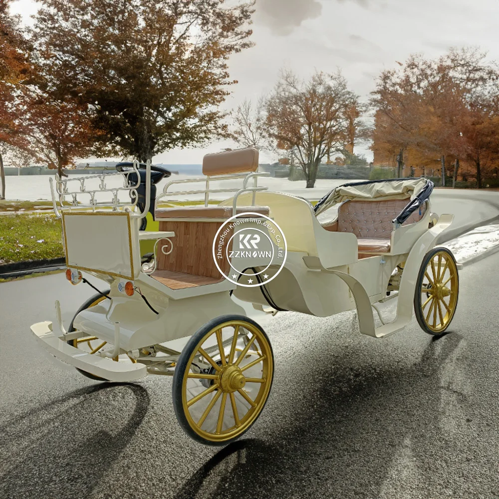 Horse Cart Carriage For Sale Cinderella Carriage Horse Golden Carriage Images