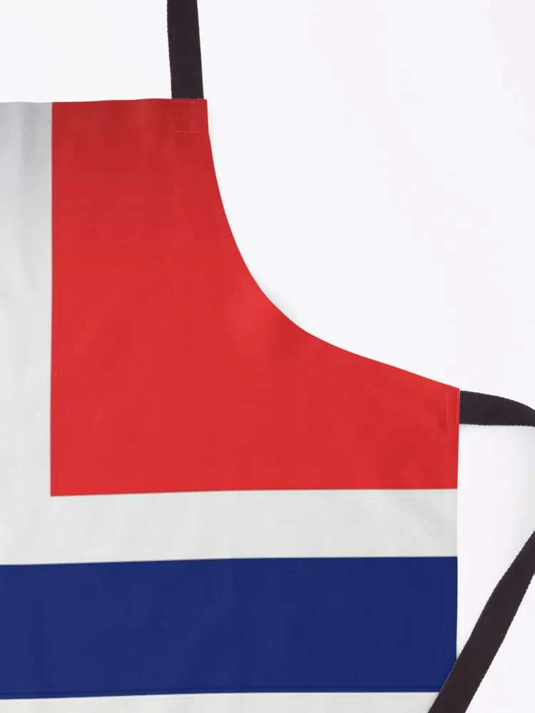 National Flag Of NorwayApron apron ladies