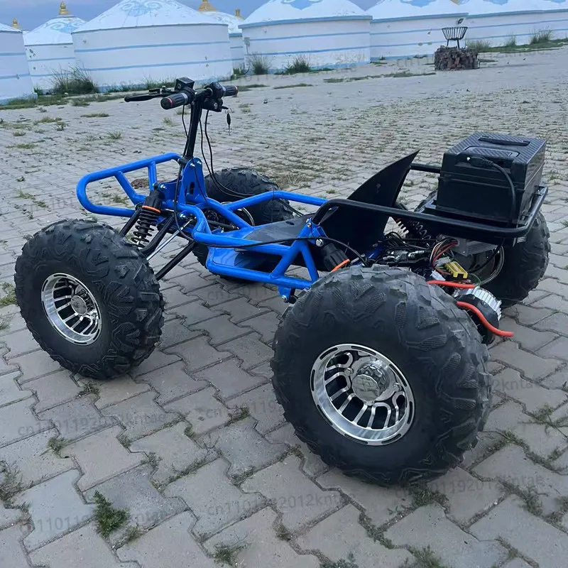 Off-road high-speed racing electric go-kart - ride-on playground vehicle for adults