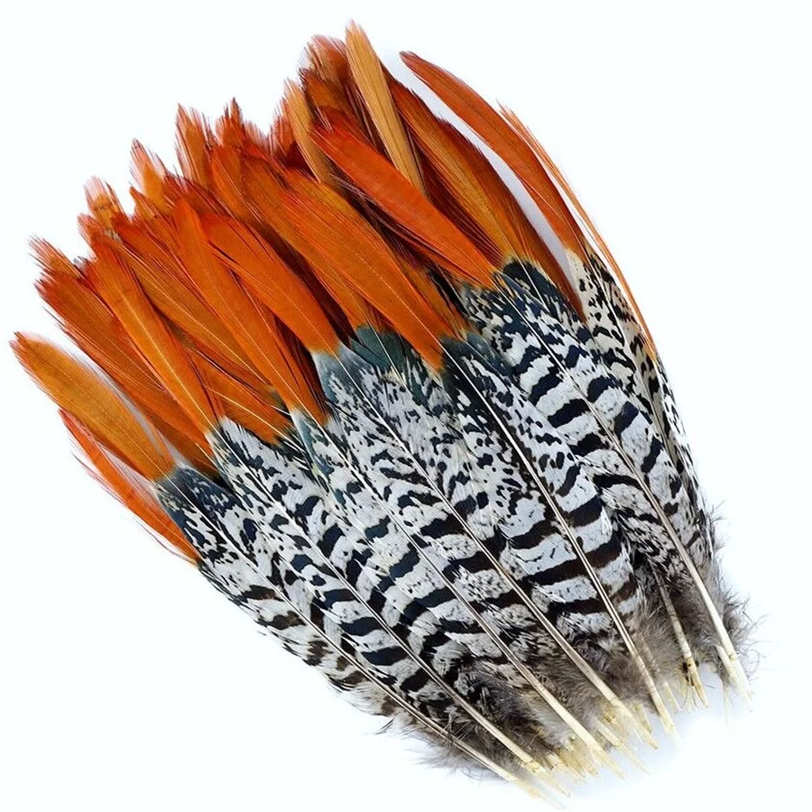 

100PCS 20-25CM Length Red Tipped Pheasant Feather Plume Natural Zebra Pheasant Tail Feather Sam ba Lady Amherst pheasant feather