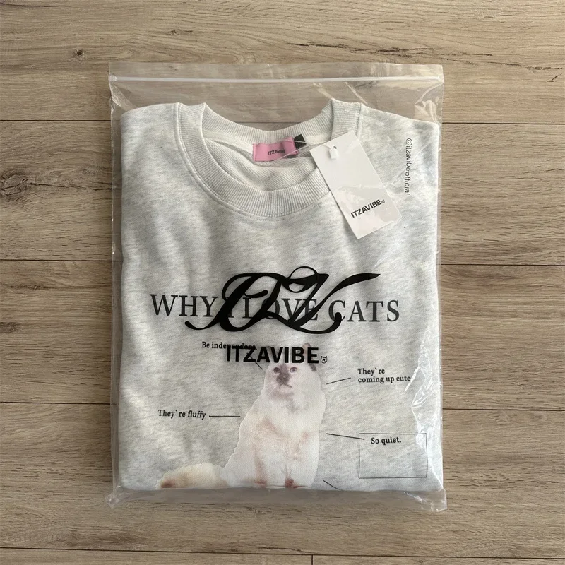 خريف 2025 هوديس للزوجين مصمم كوري ليزا لي هاراجوكو كسول كات طباعة قطن رقبة مستديرة كم كامل نمط آخر من الصين #4