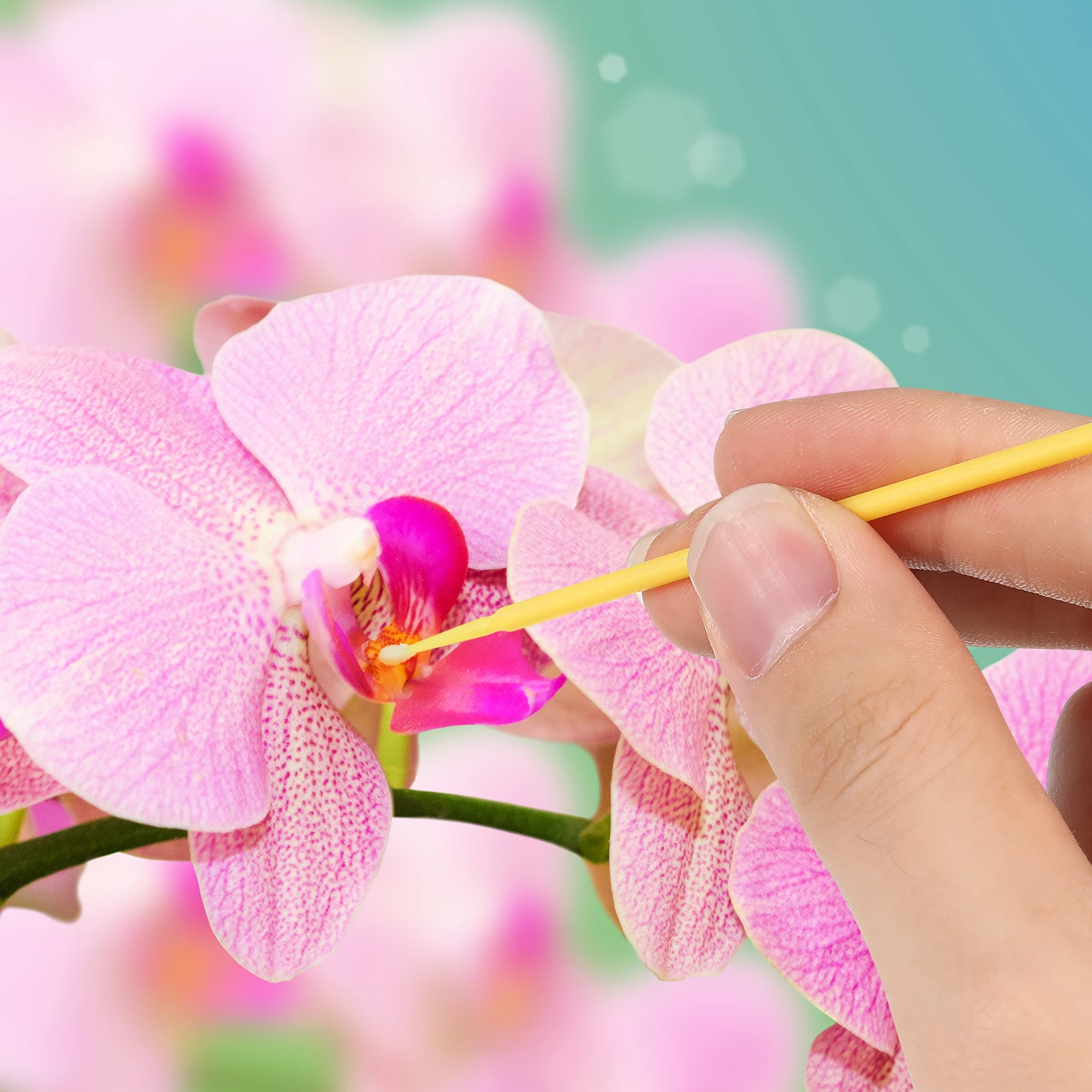 

100 Pcs Chalk Pen Garden Pollinator Brush Fruit and Vegetable Growing Tools Sprayer Supplies Plastic Pollinating Pollination