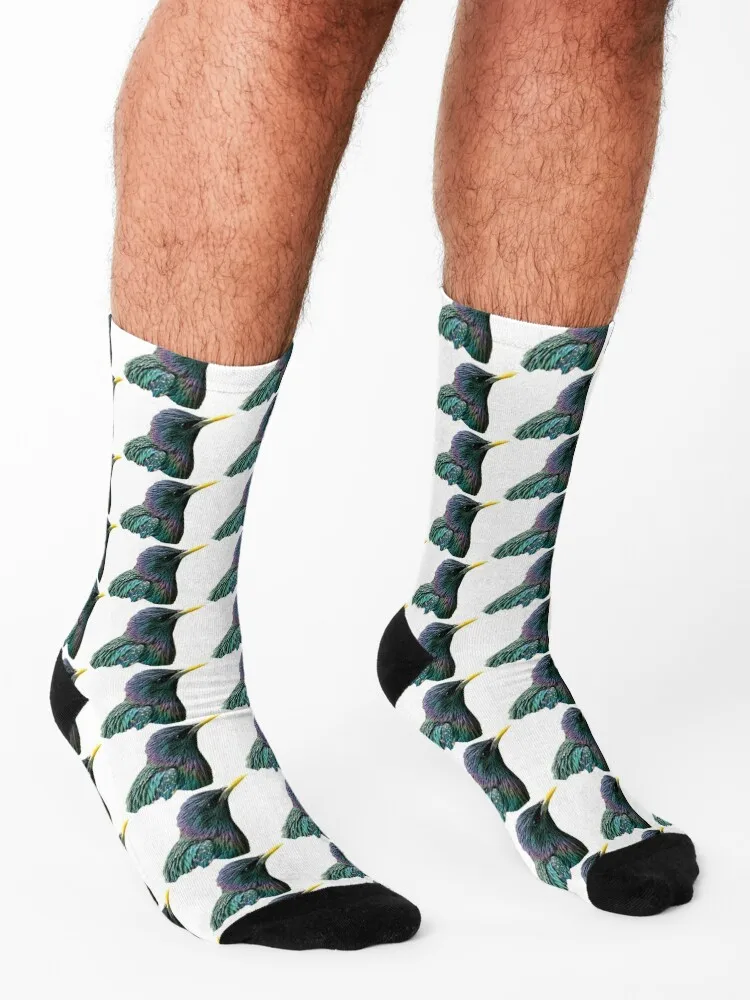 Meine Sternen socken Rugby Hip Hop Socken männliche Frauen