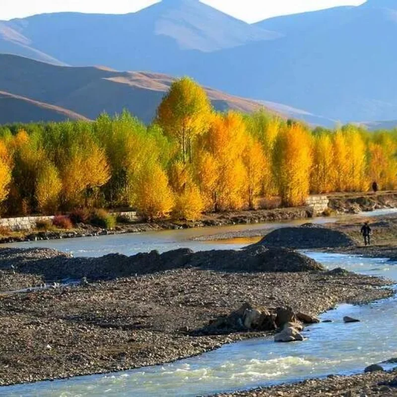 

Профессиональный аппарат для 7D-косметологии: неинвазивное подтягивание тела, сжигание жира, укрепление кожи, устройство для похудения