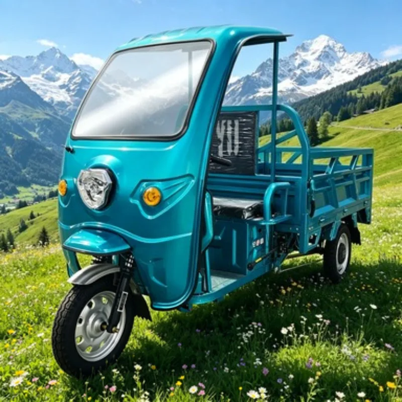 Passenger and Cargo Electric Tricycle 3 Wheel 60V 800W Open Body 400kg for Dual Use Transport Sale
