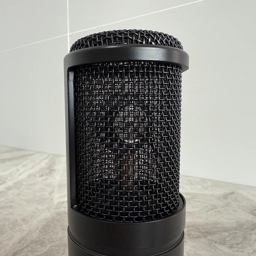 P120 Studio Microphone Large D - Condenser Microphone Studio Large Diaphragm review and price