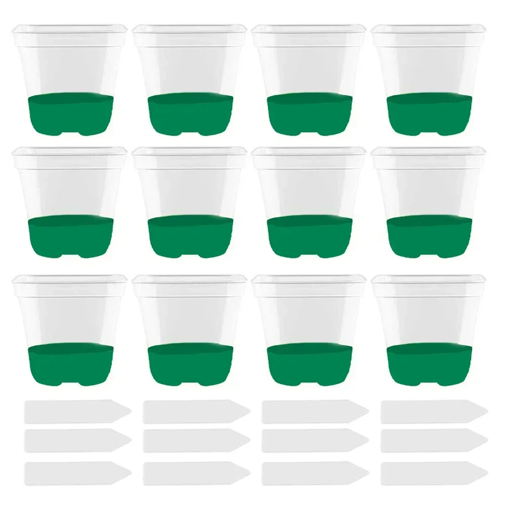12Pcs Clear Plant Pots with Drainage Holes and Reusable Labels for Indoor and Outdoor Plant Start and Transplant