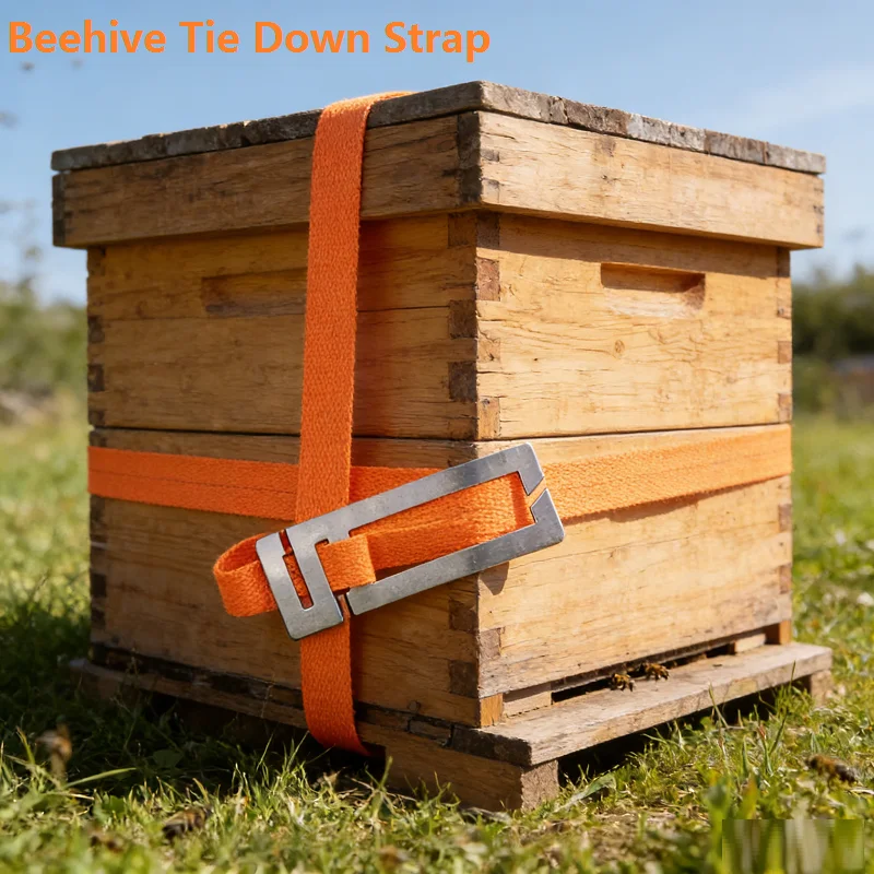 Beehive Tie Down Strap Bee Hive Strap Poly Nylon Beehive Binding Strap 5M Webbing wIth Buckle Lashing Belt Beehive Moving Tools