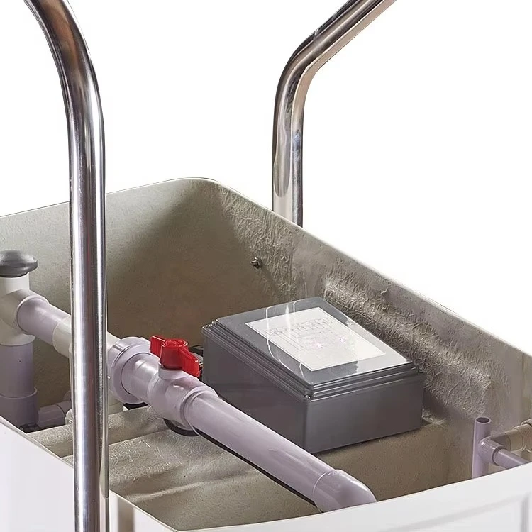 Wall Hung  Pool Filtration Pipeless Filters Swimming Pool Integrative Filter