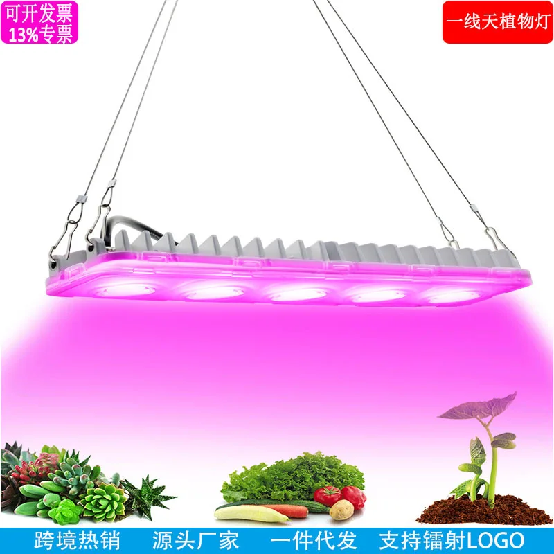 Long Strip COBLED Plant Growth Light Full Spectrum 50W Seeding Light for Indoor Plants Adjustable Arms for Seedlings Succulents