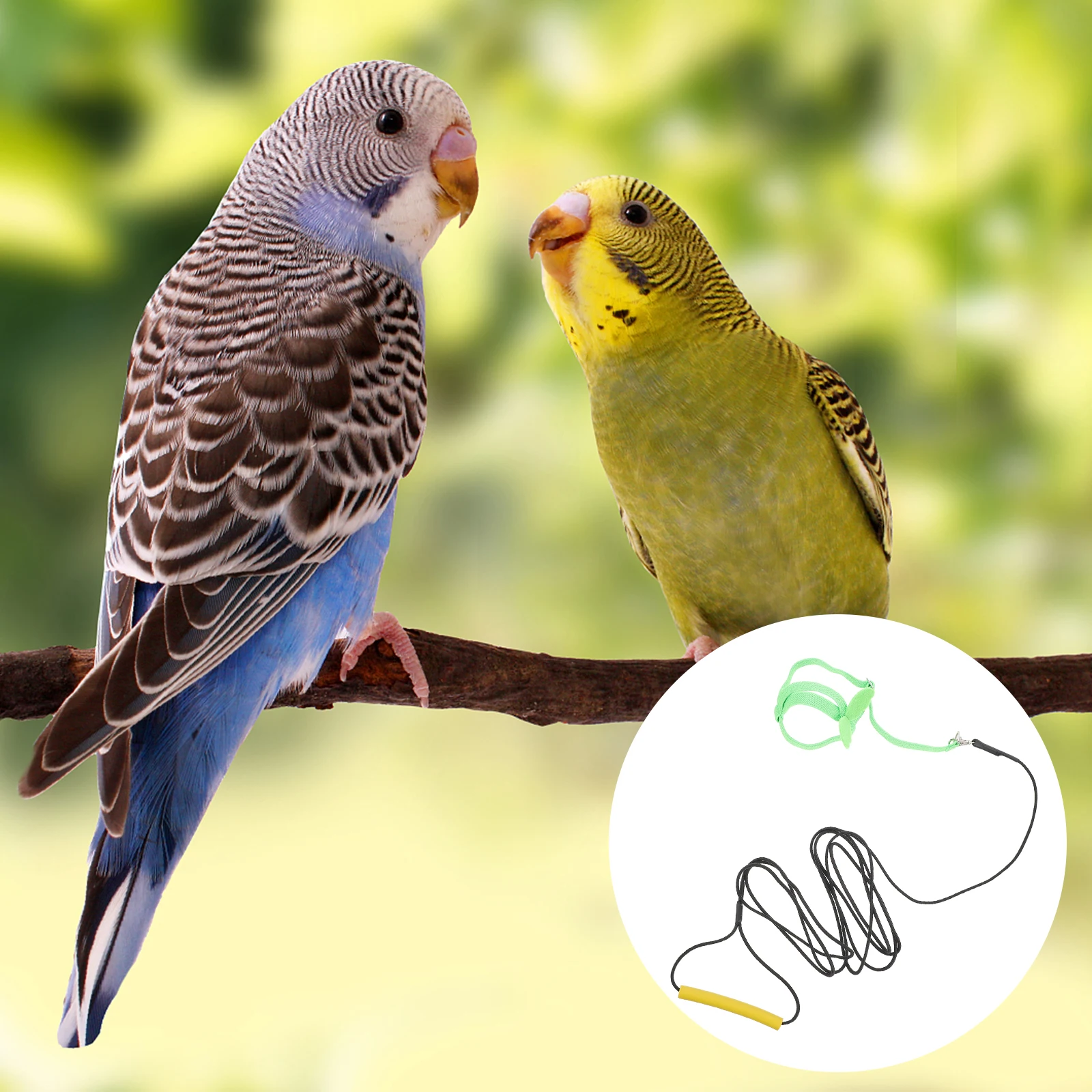 

1pc Sturdy Harness Leash Adjustable Parrot Flying Durable Training Rope For Outdoor Bird Flying Harness Escape Proof