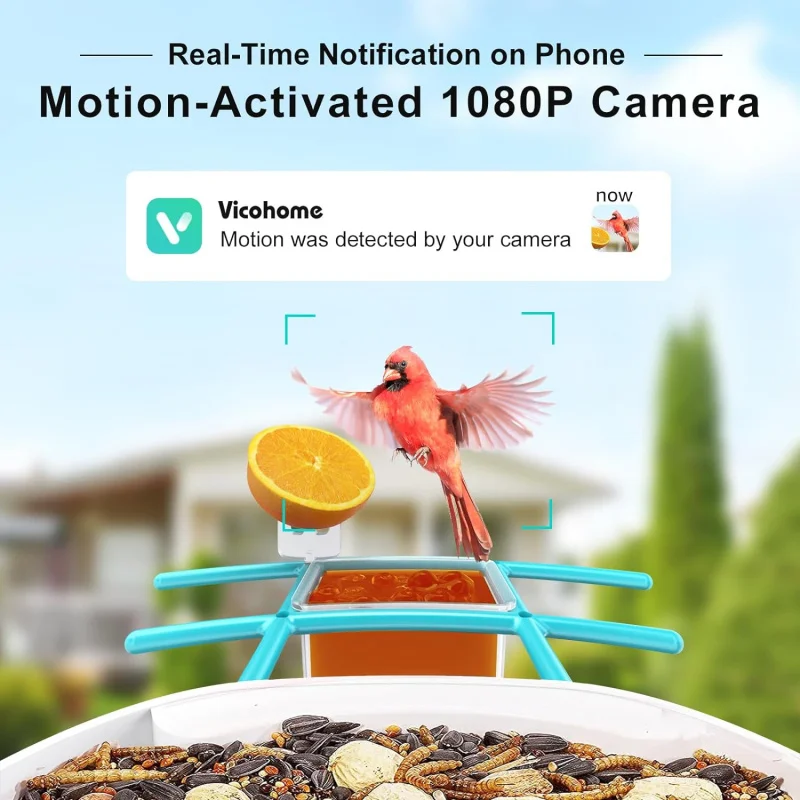 Smart Bird Feeder with Camera Solar Panel SD Card 4-in-1 Perch, 160°View 1080P Auto Detect & Notify, AI Identify 10000  Bird Wat