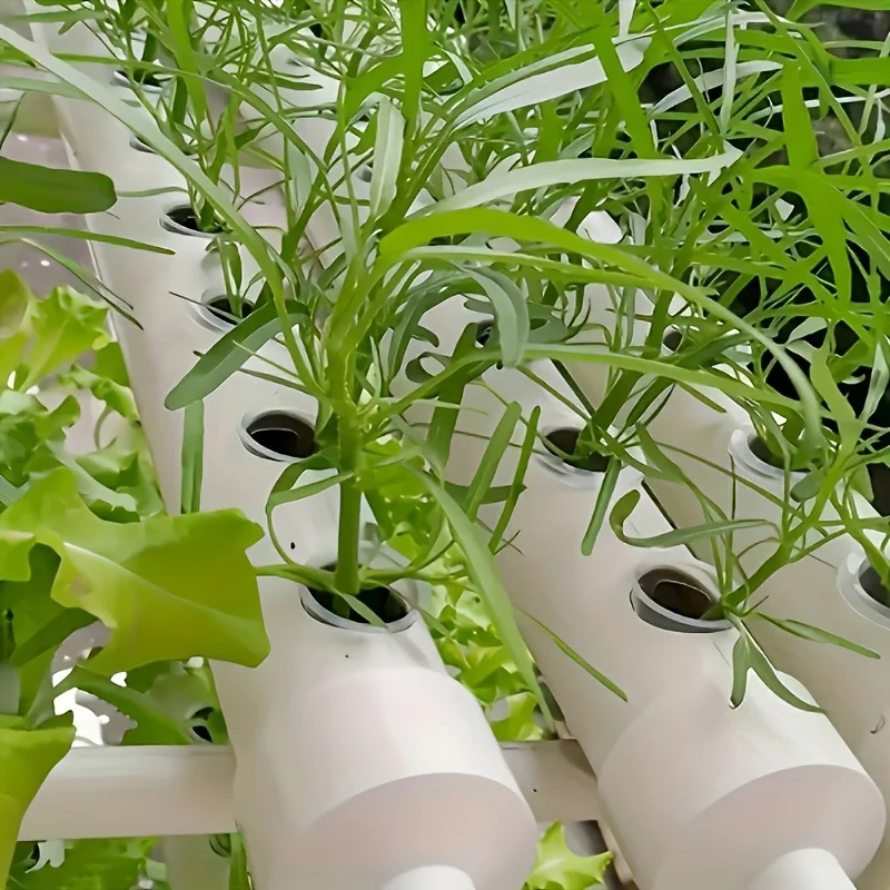 10pcs Hydroponic Seedling Basket Set (Includes 10 Planting Baskets + 10 Seedling Sponges)|Seed Stabilization to Prevent Drifting - view 6