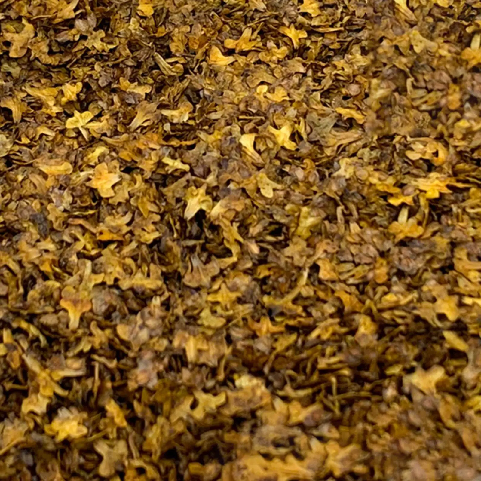 5x1 زجاجة مصغرة ورقة المشهد تخطيط الحرف 56 مللي ديوراما لنموذج السكك الحديدية مواد البناء الملحقات