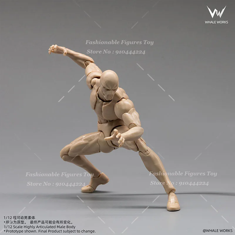 

In Stock WHALE WORKS WW03 1/12 Scale Male Soldier Ash Super Articulated Movable Joint Body 6Inch Action Figure Model Toys