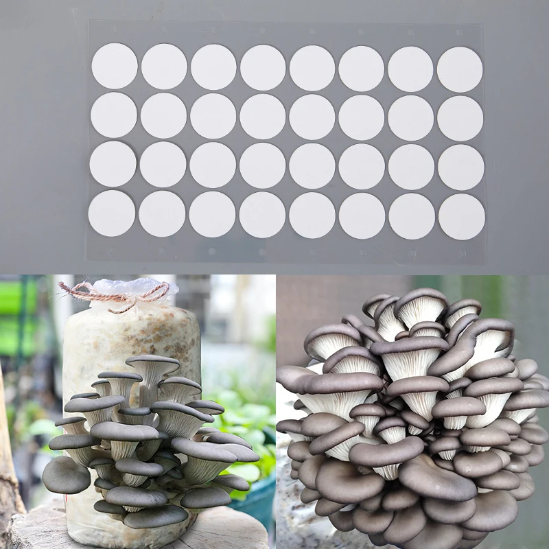 Synthetic Filter Paper Stickers 20 Mm Filter Disc Mushroom Applied Under Wide Mouth Jar Lid For Mushroom Cultivation