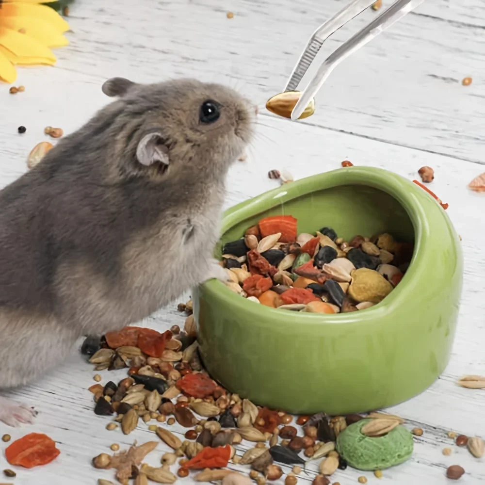 Dental Baumwolle Pinzette Edelstahl Chirurgische Gezahnt Gebogene Pinzette Pick Up Baumwolle Clip Forcep zahnarzt Oral Untersuchung Werkzeug