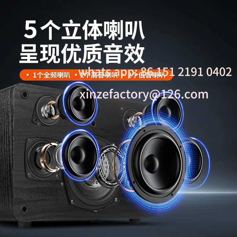 Customizable Karaoke Wooden Bluetooth Speaker with Dual Microphone Bass Support TV Computer