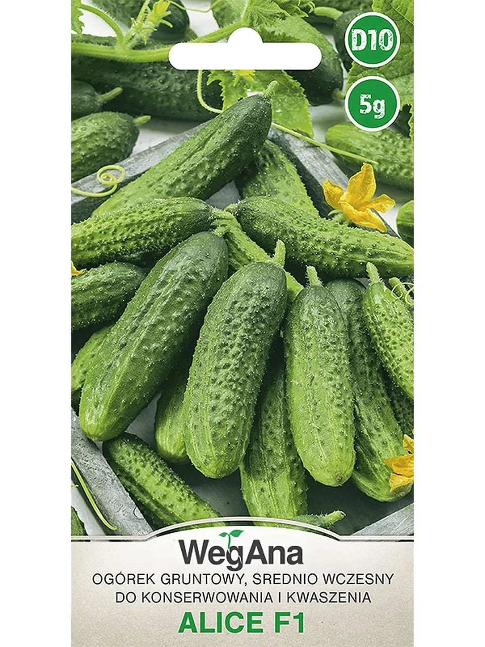 Canned ground cucumber Alice F1 5g vegetable cucumber seeds VegAna