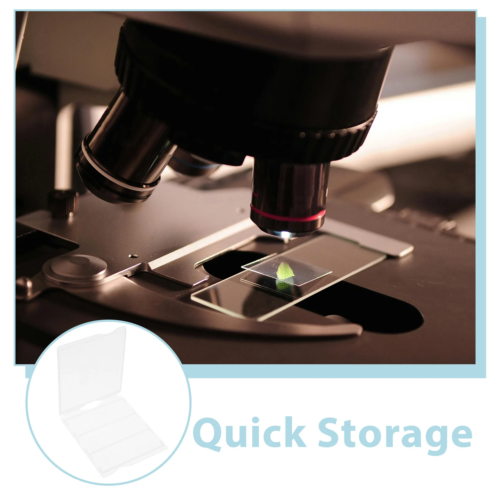 4 Pcs Microscope Laboratory Plastic Slide Holder for Glass Slides Organizer Container Accessories Case with Storage