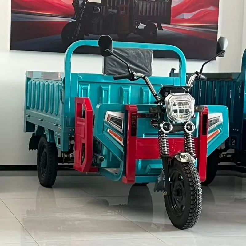 Electric Cargo Tricycle 600W 2026 New Model Folding Multifunction Open Body Motorcycle Taxi - view 3