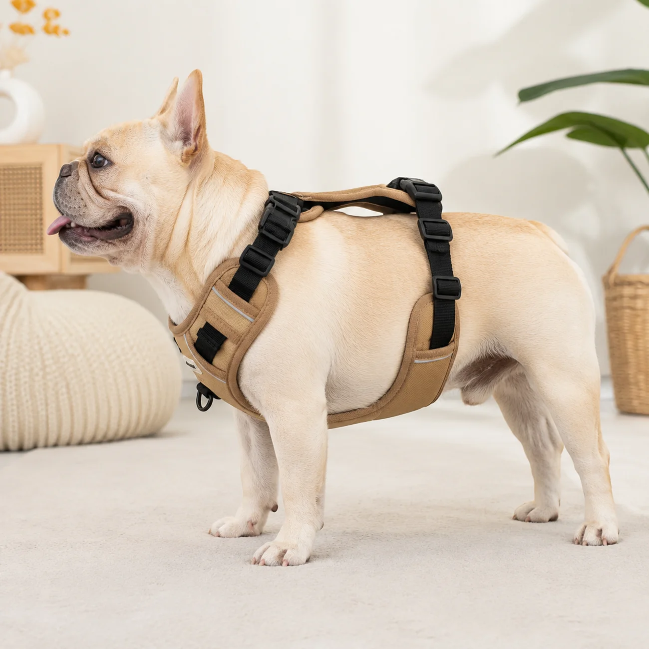 Arnés Reflectante para Perro, - No Pull Dog Harness reseña y precio