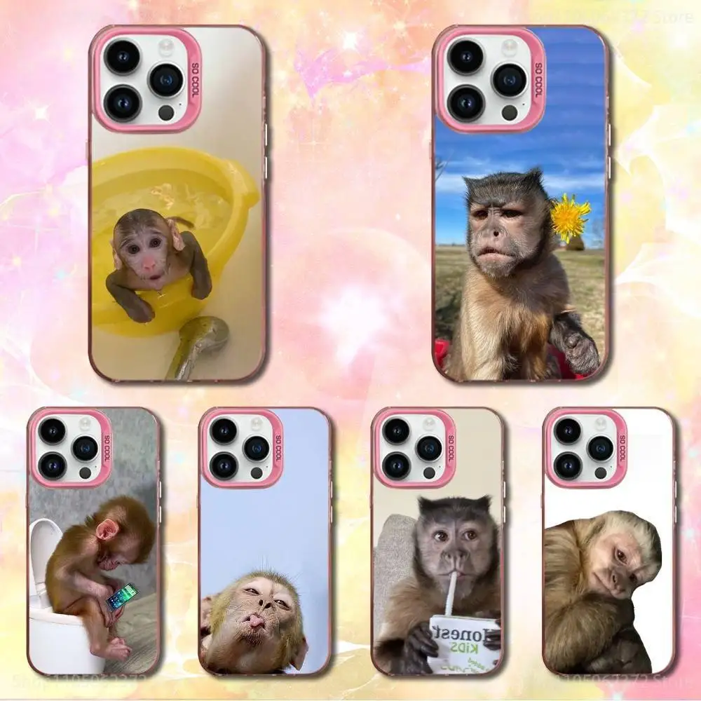 

Funny Monkey Sipping Phone Case For iPhone 12,11,14,16,13,15,Mini,Pro,MAX,SE,XS, Pink Matte Silicone Cover