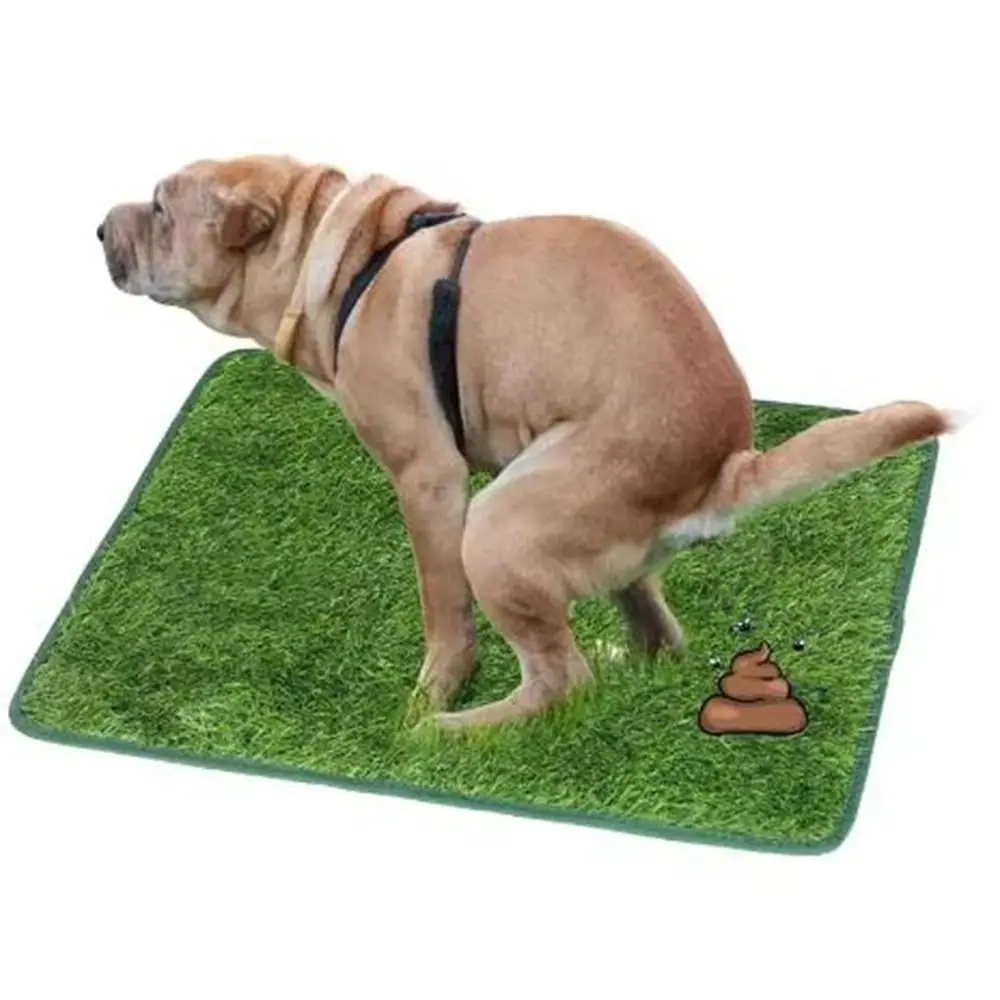 

Breathable Artificial Dog Grass Mat Washable Reusable Simulated Lawn Dog Pads Comfortable Anti Slip Pet Lawn Mat Outdoor