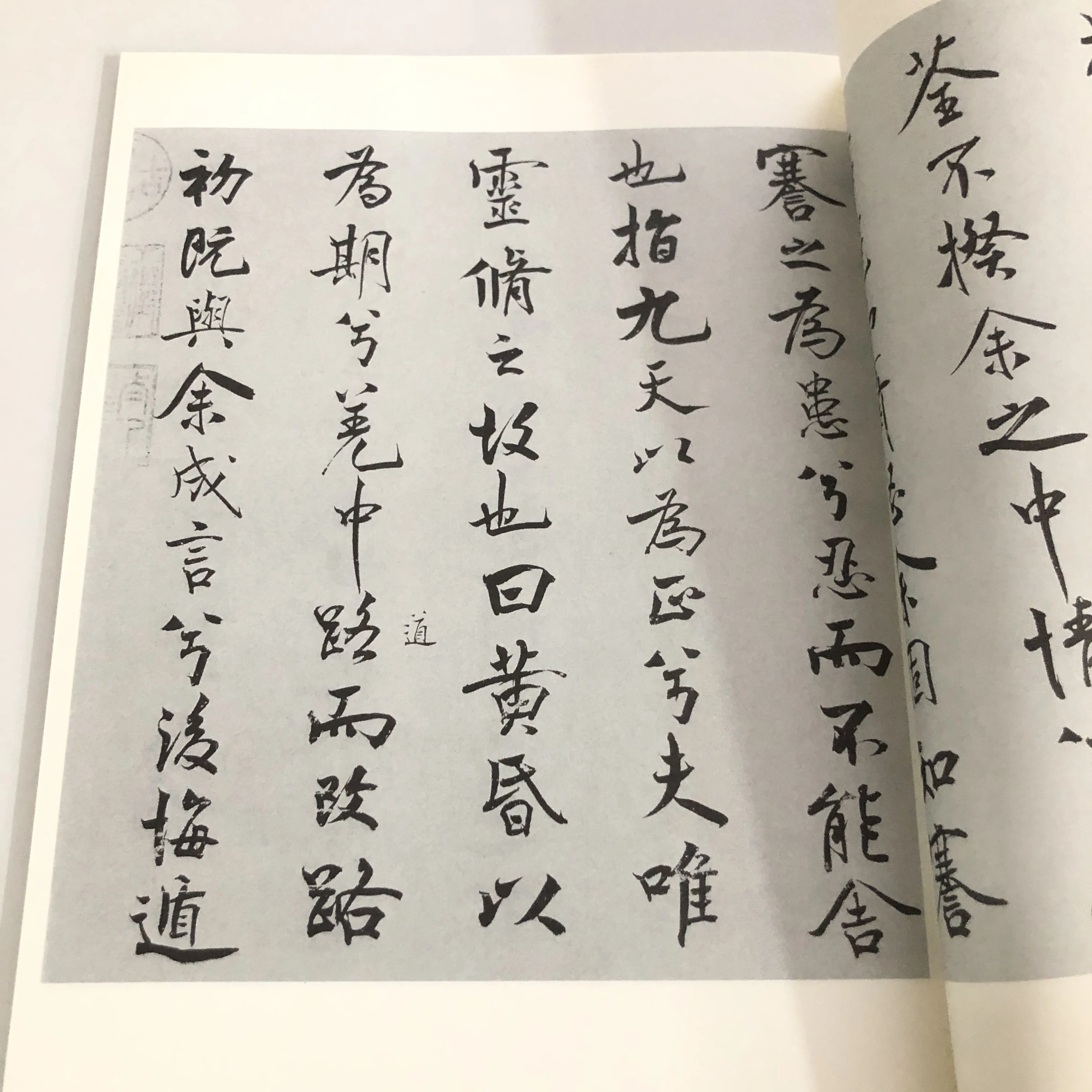 Caderno de caligrafia de Mi Fu: folhas de prática de poesia de colocar Lament