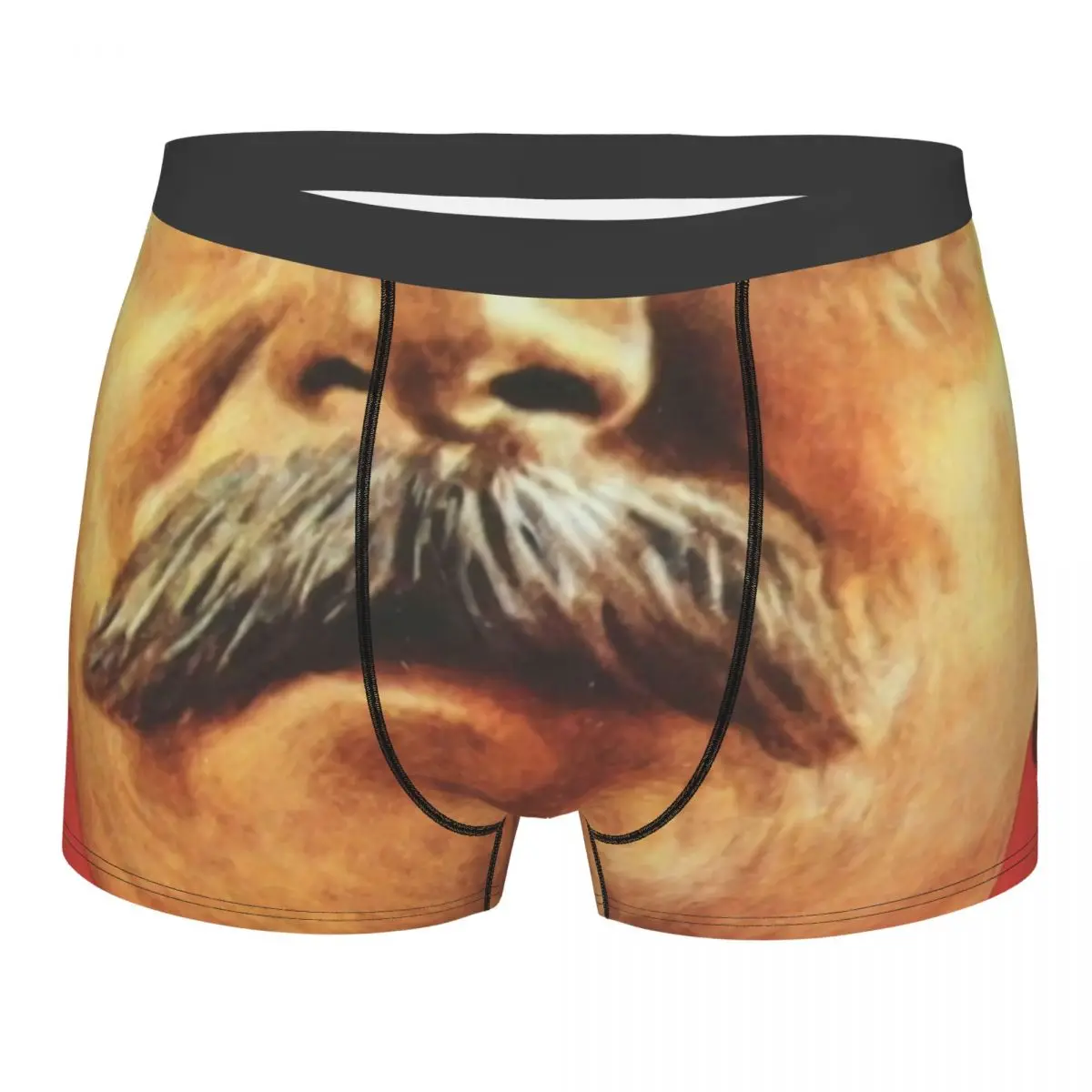 Custom Male Joseph Stalin Underwear Soviet Russian CCCP Communist Socialist Boxer Briefs Breathable Shorts Panties Underpants