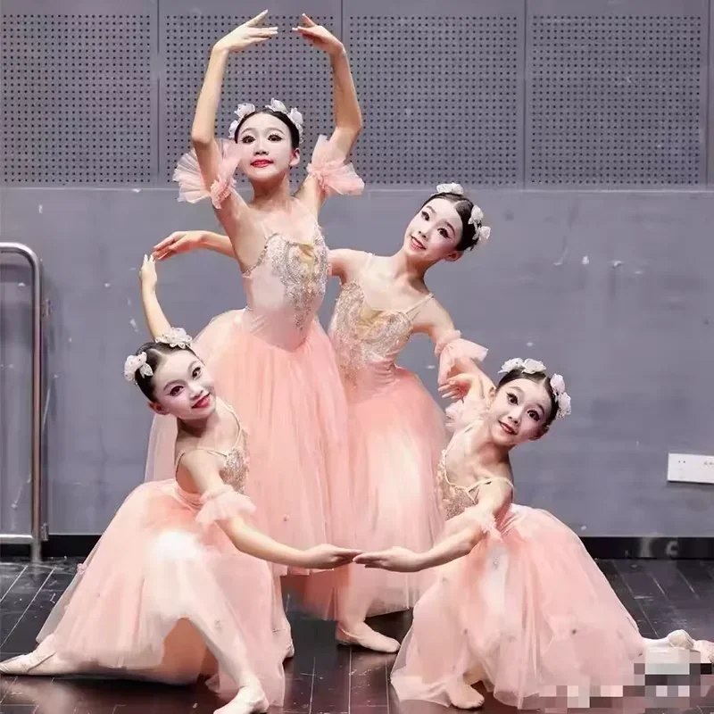 professional-ballet-costume-classic-ballerina-performance-ballet-tutu-child-kid-girl-adult-princess-tutu-dance-ballet-dress