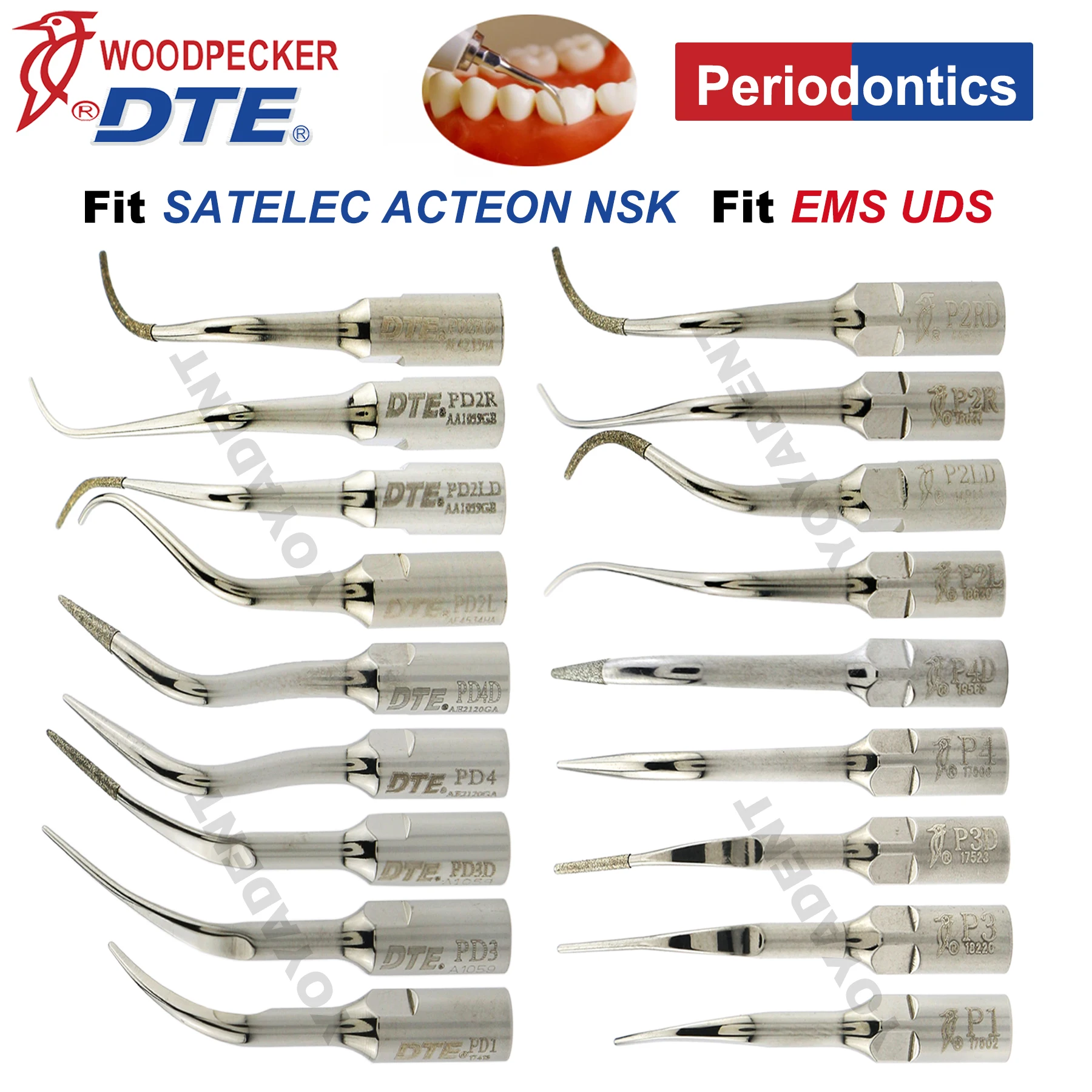 

Woodpecker DTE Tips Dental Ultrasonic Scaler Tip Periodontics Fit EMS NSK SATELEC ACTEON Scaler Handpiece Dentistry Tools