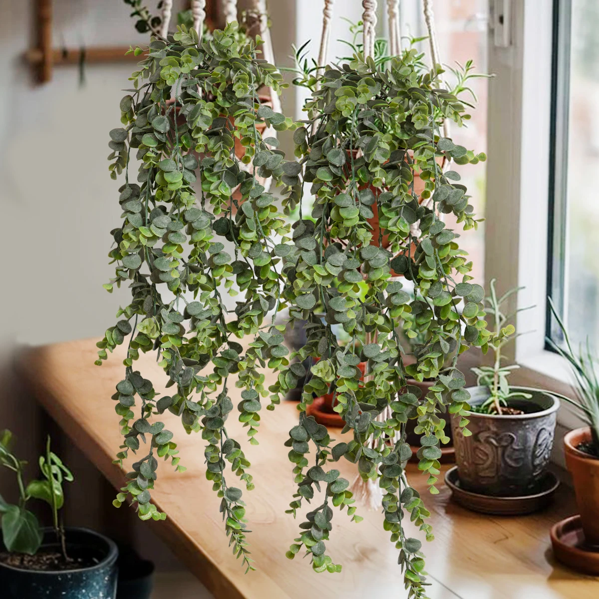 Plantas artificiales colgantes de eucalipto, flor SIA, Material PE negro y verde, interior, jardín, decoración del hogar