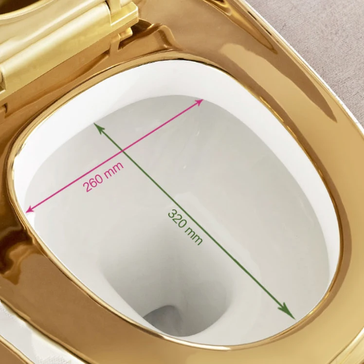 Ceramic Gold Luxury Two-piece Toilet Dragon Basin