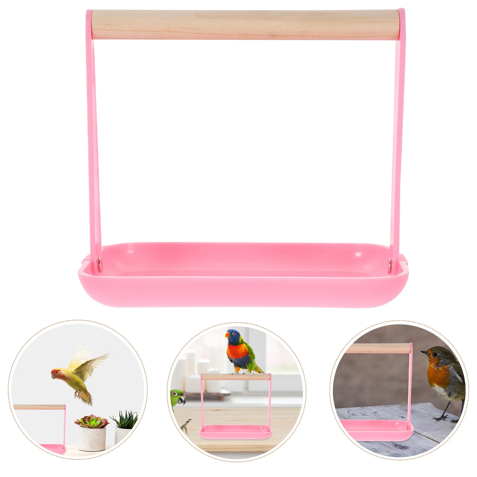 Parrot Training Stand Bird Perch Station with Plastic Tray for Parakeets Conures Lovebirds Cockatiels Bird Training Supplies and