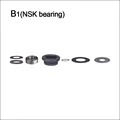 B1(NSK)