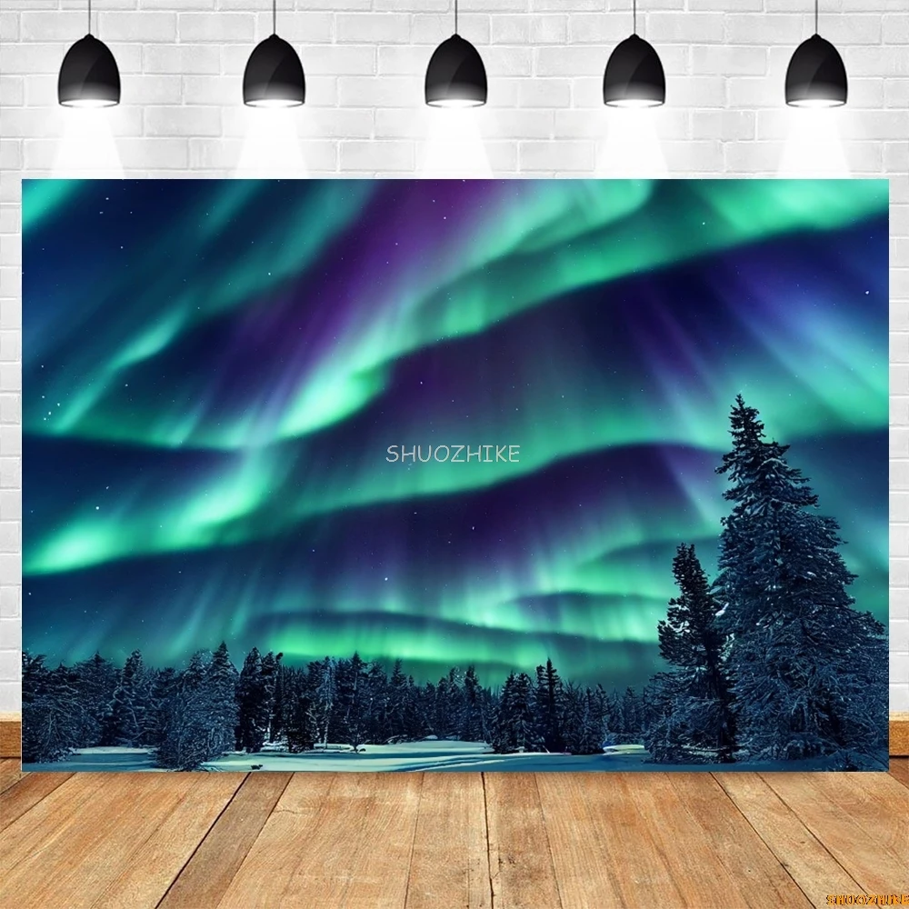 Inverno Aurora Notte Scena naturale Sfondo Arctico Neve con cappuccio Montagne Lago Cielo stellato Paesaggio Sfondo Puntelli per fotografia