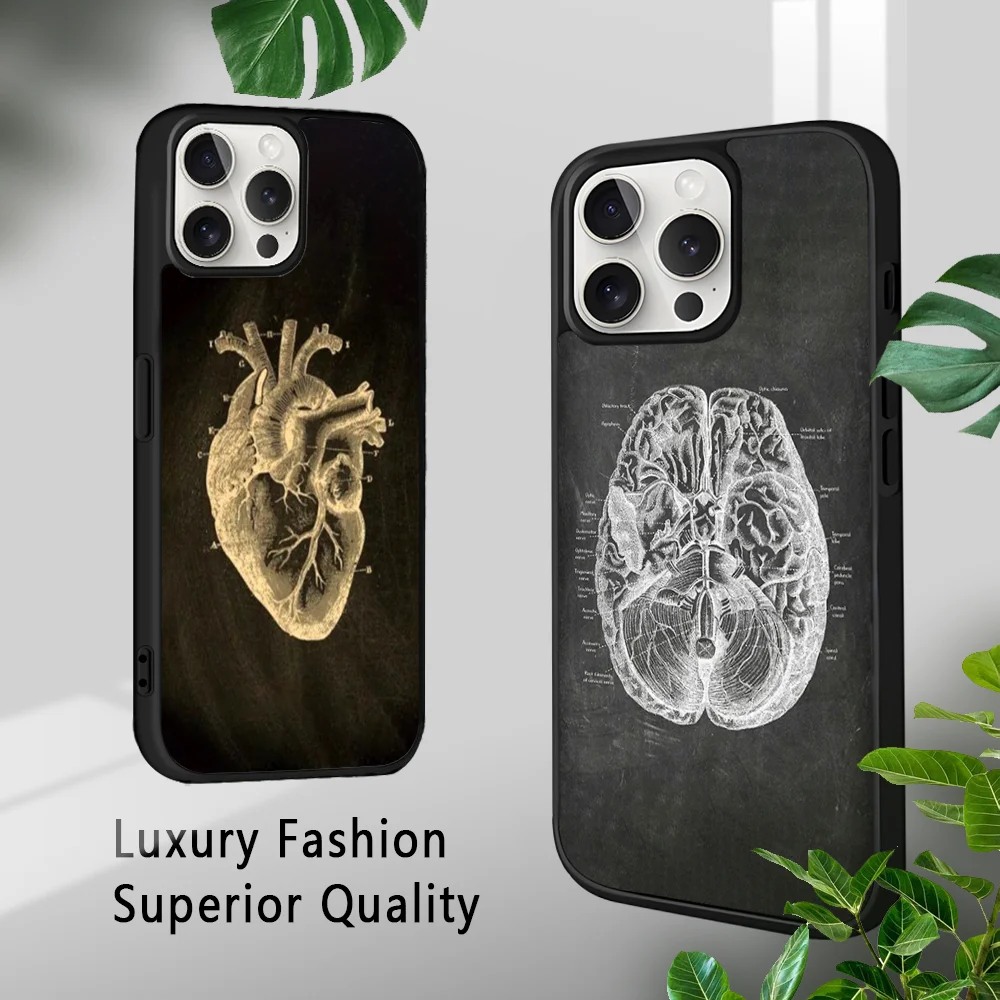 Anatomy Skeleton Chalkboard Heart Phone Case For iPhone 16 15 14 13 12 11 Pro Xs Max Mini Plus Celulares Hard Funda