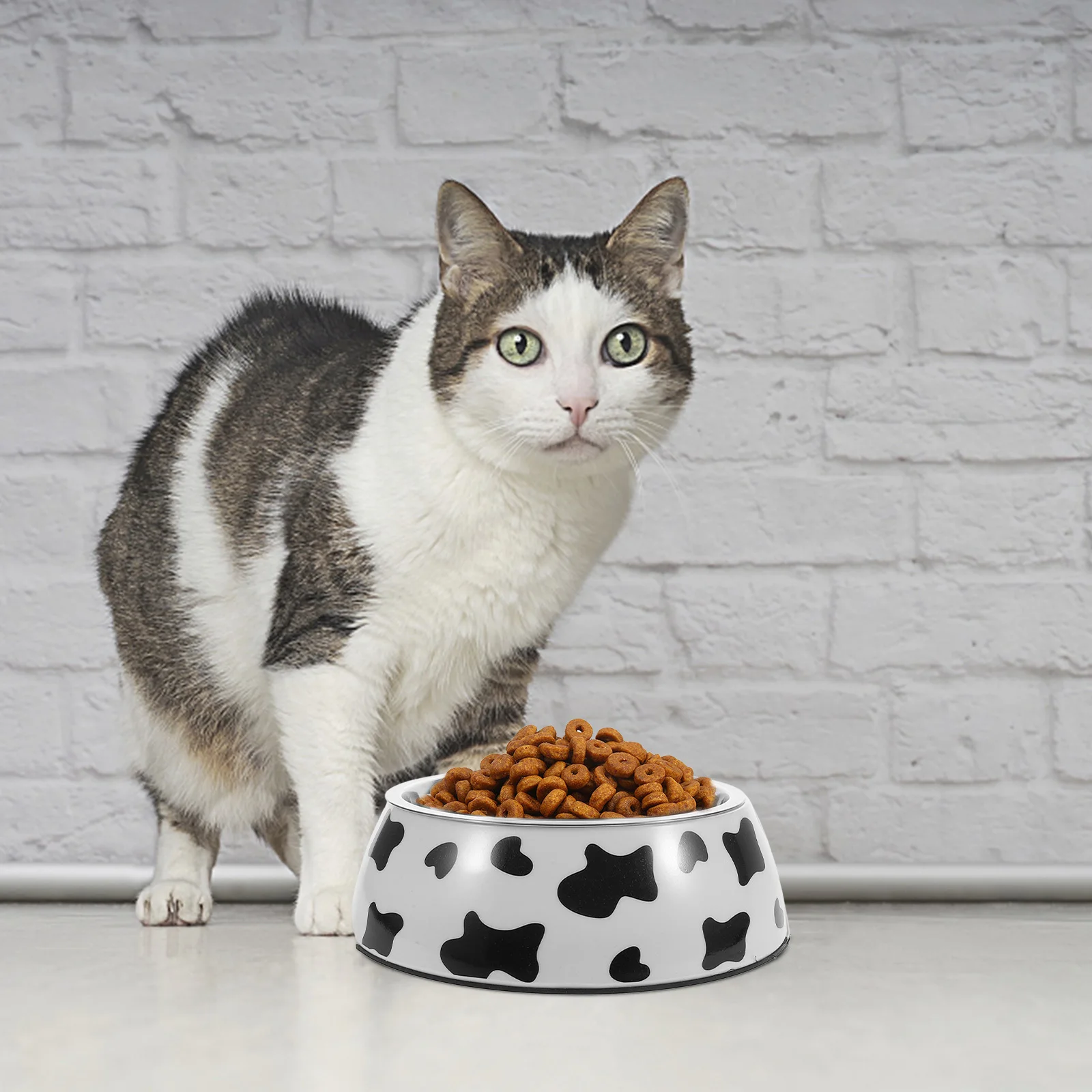 

Non-Skid Base Dog Dual Pet Feeder For Cats Stainless Steel Pet Puppies Food Water Bowl Dual Dog Food Bowl