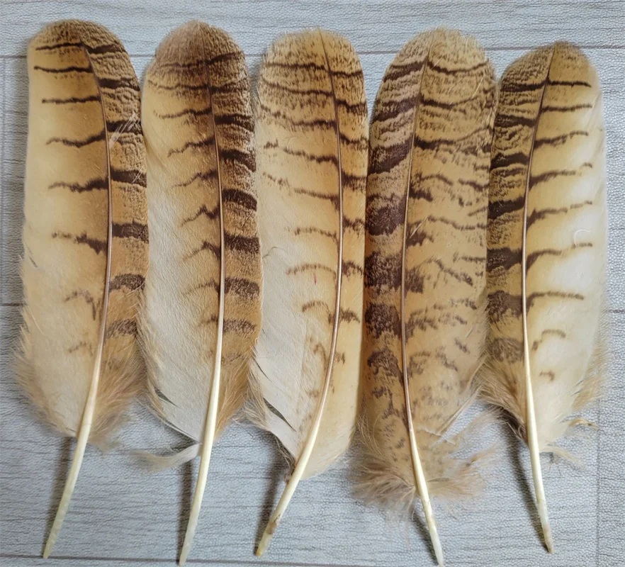 

Natural Owl Quill Feathers for Headdress Accessories Holiday Decoration Carnival Owl Feathers, 8-10" 20-25cm long,10pcs