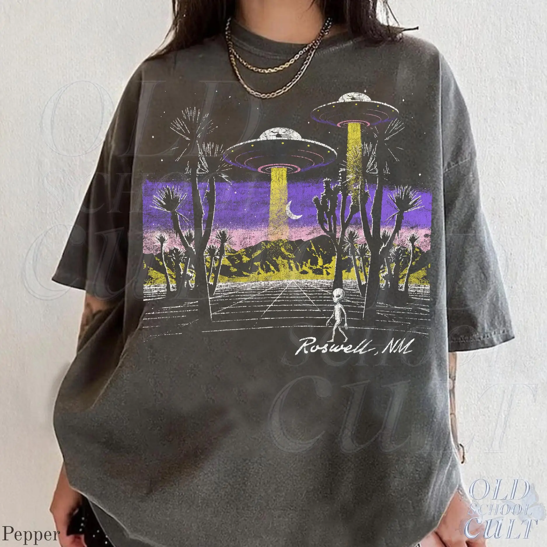 Roswell NM UFO Graphic T Shirt, Retro Alien Desert Tee, Vintage Sci Fi Abduction Shirt, Southwestern Spacecore Unisex Top