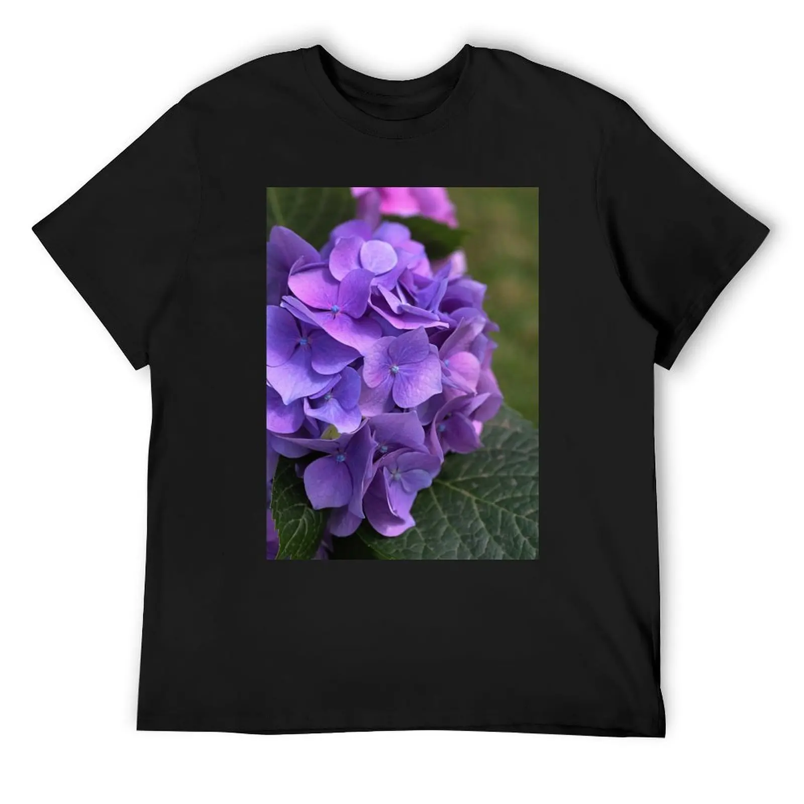 Hydrangea In Mauves And Pinks T-Shirt blacks summer clothes cute clothes fruit of the loom mens t shirts