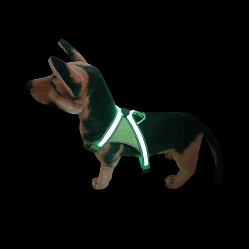 New LED luminous pet chest strap. Four lights. USB charging. Pet luminous vest. Pull strap. Traction rope