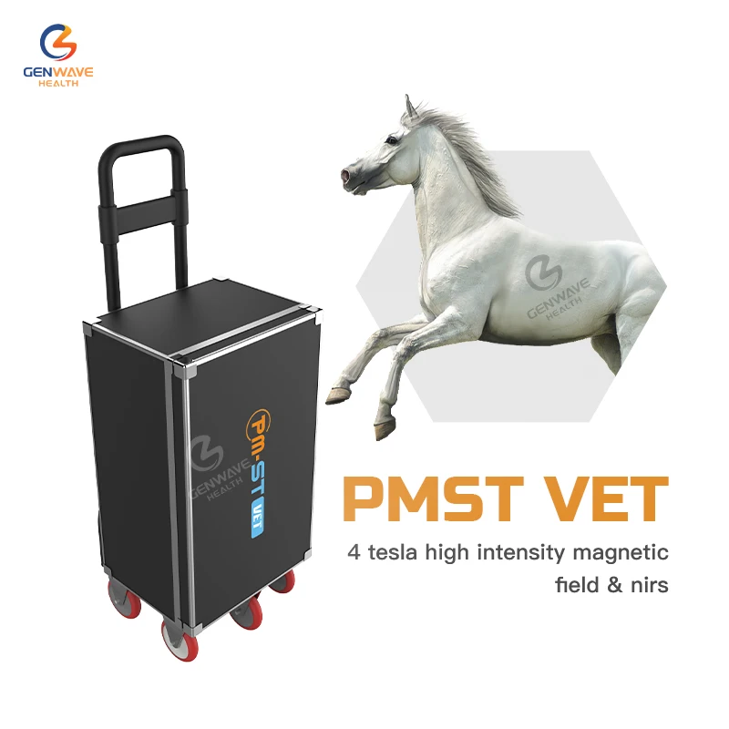 

PMST Vet Магнитотерапия высокой интенсивности 4, комбинированное инфракрасное лечение Tesla, оборудование для терапии лошадей