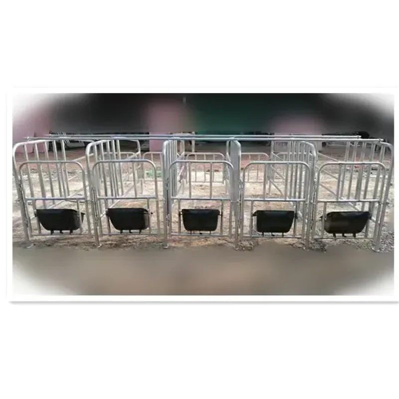 Cheap Price Pig Farm Equipment Pigpen Galvanized 2.2*0.6m Sow Gestation Stall